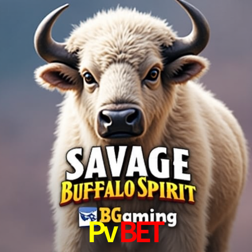 Pvbet.Com